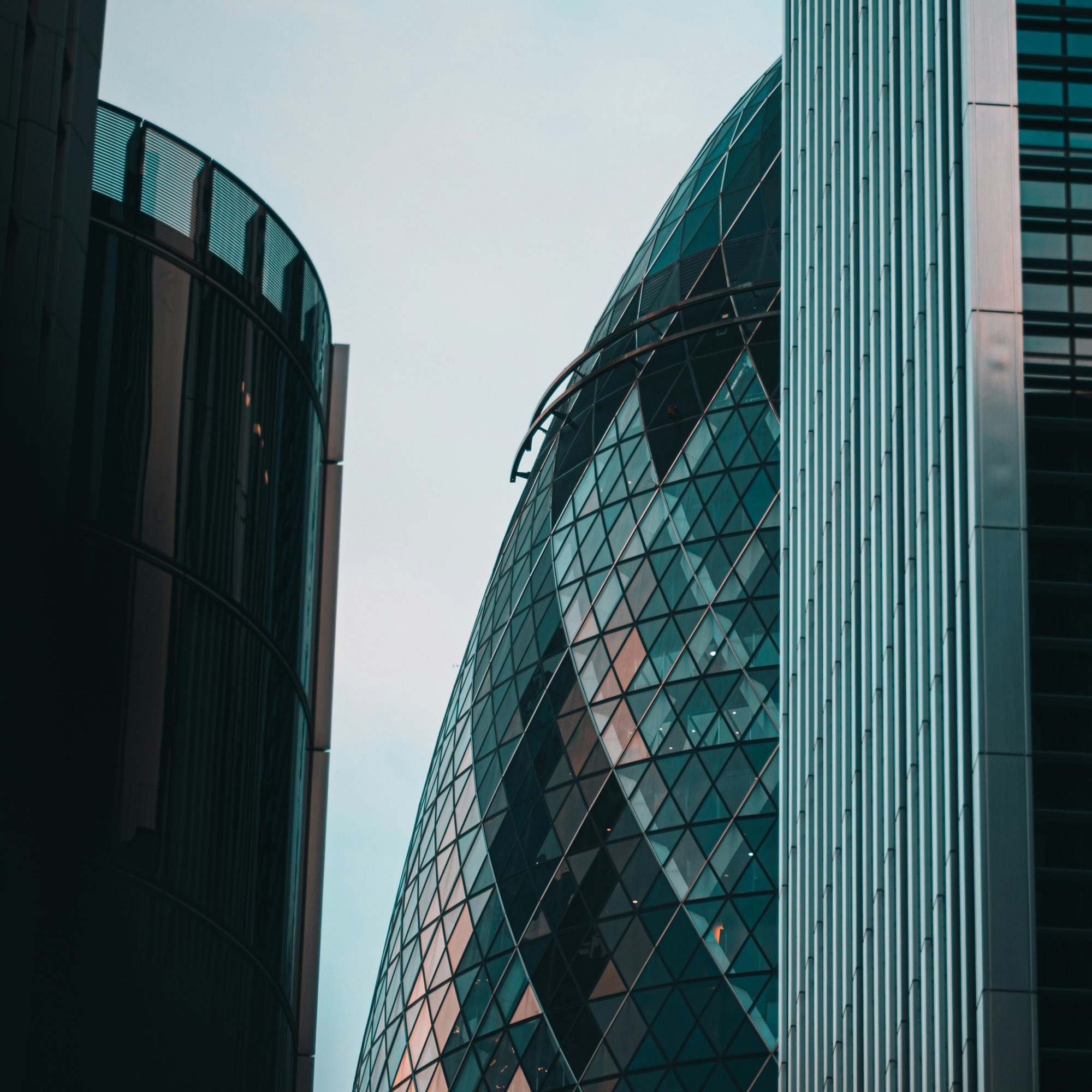 1cut eduard-pretsi-nZAFn25Up-M-unsplash 1cut eduard-pretsi-nZAFn25Up-M-unsplash